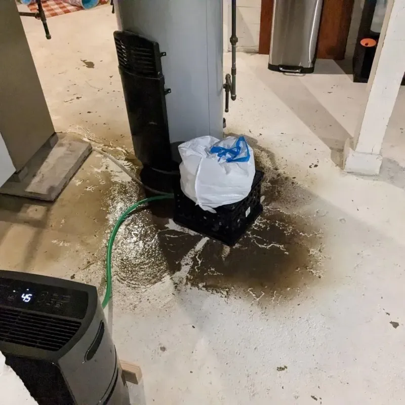 Sewage Backup Cleanup Service in Waynesboro, MS